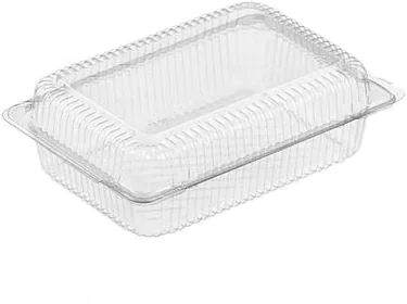 PET tray Rectangular hinge